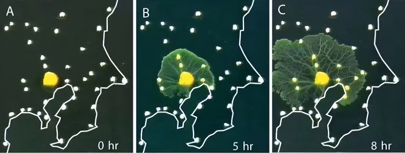 不用花钱就能买到小型电脑,如何买到适合自己的电脑