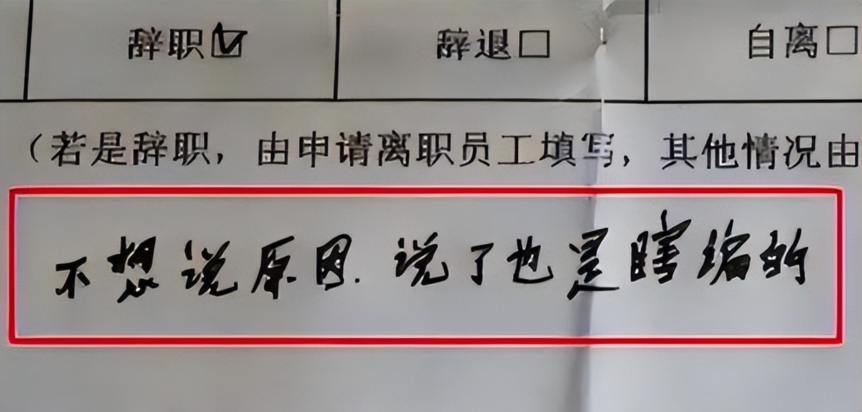 女教师的一封辞职信,年轻女教师辞职信火了