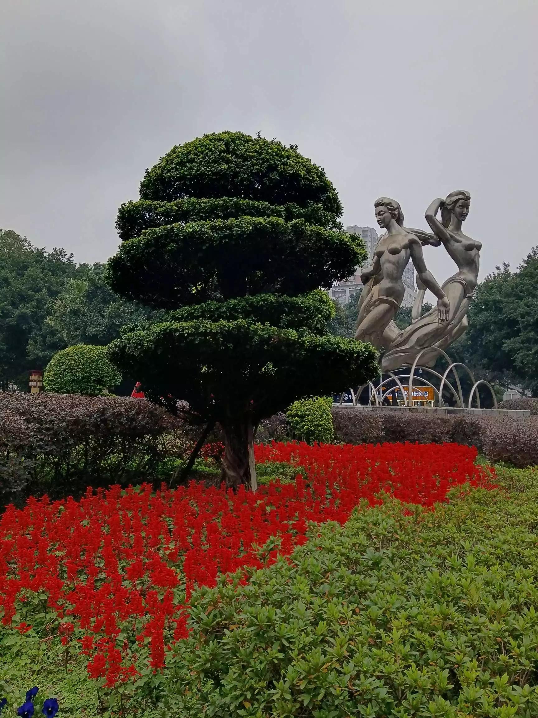 认识各种花卉名称,认识各种花的名字