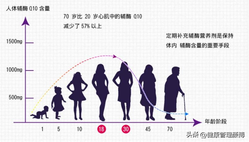 权威人士谈辅酶q10,专家讲辅酶q10视频