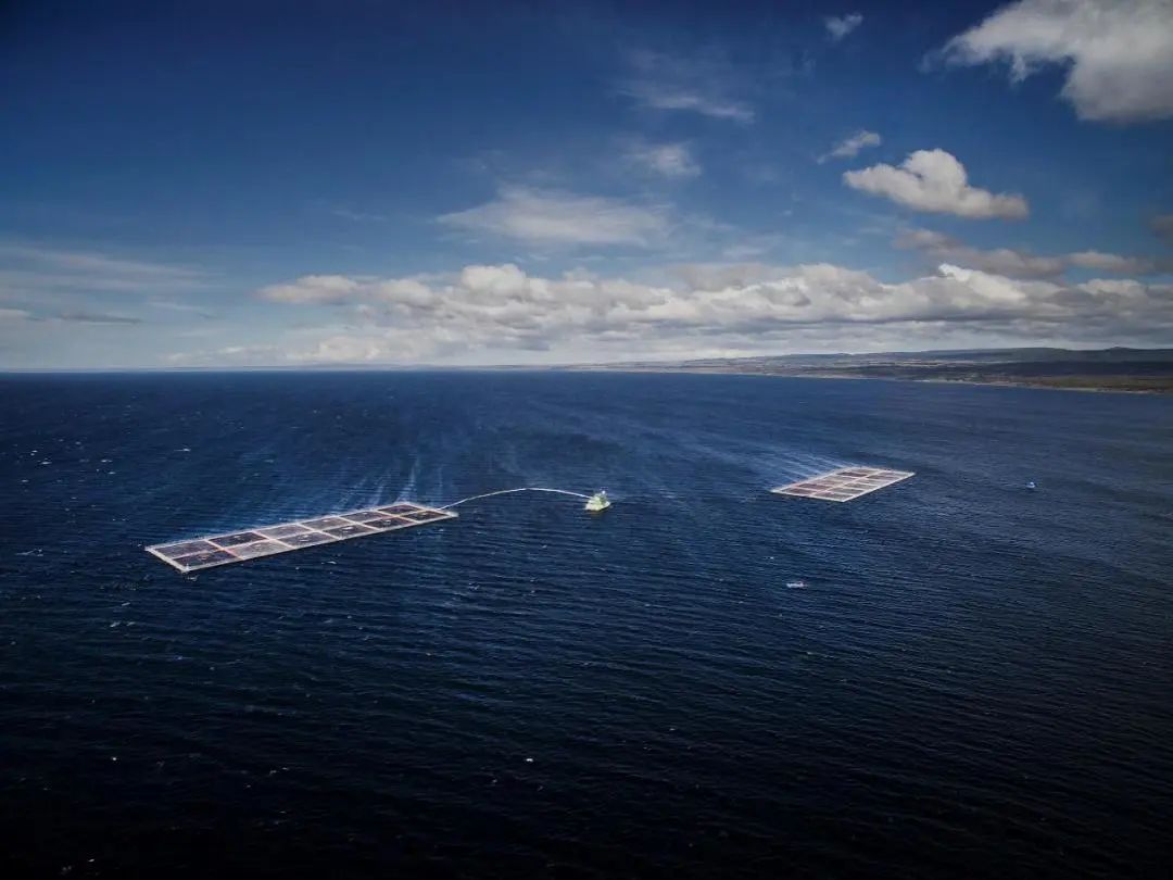 佳沃食品冰鲜三文鱼,佳沃食品三文鱼