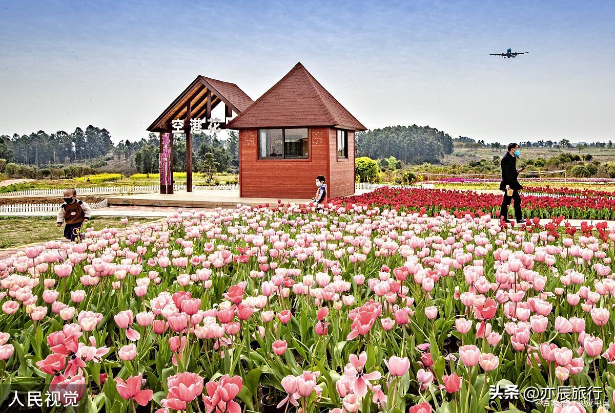 武汉周边避暑烧烤钓鱼,武汉周边避暑旅游景点推荐