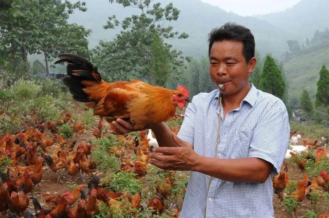 打工农民工出路,农民工打工有什么出路