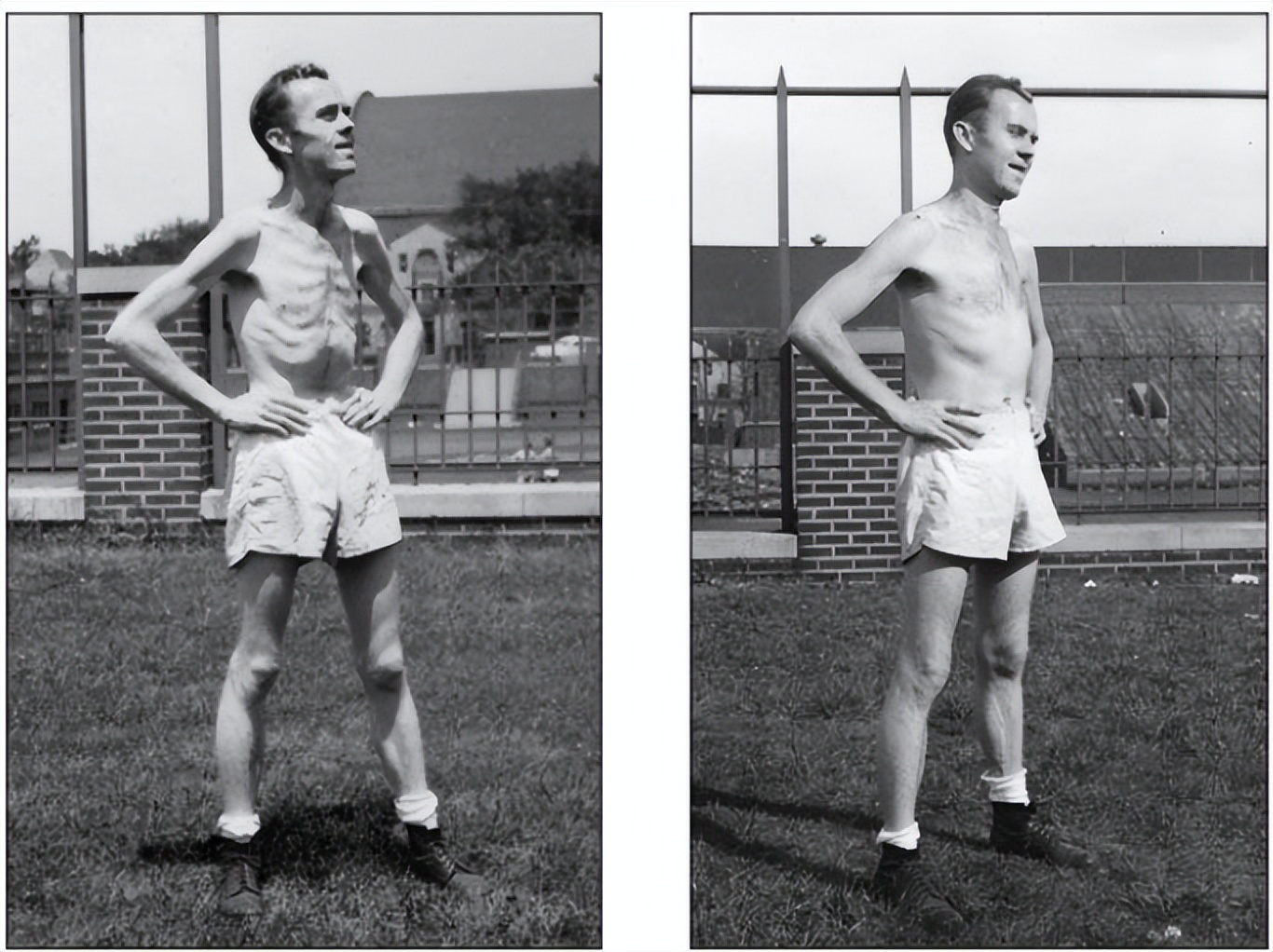 这样的疯狂“摆烂”，我举双手支持