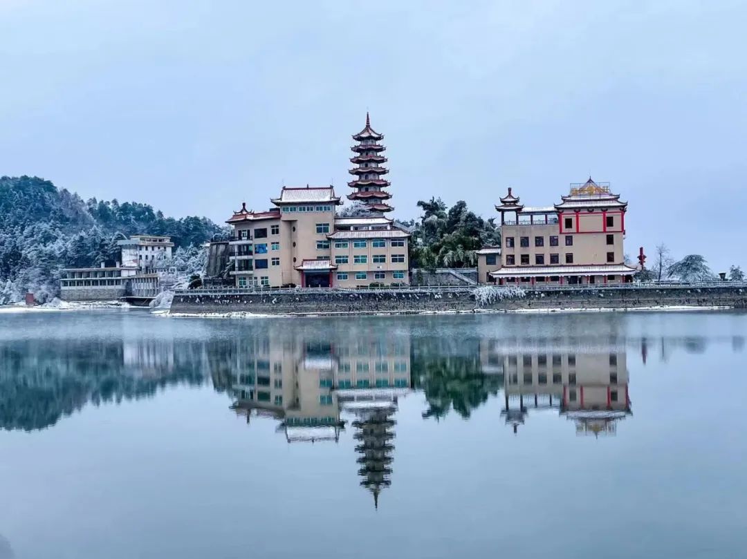 到咸宁看国宝过大年,离家45年的国宝回湖北咸宁过年