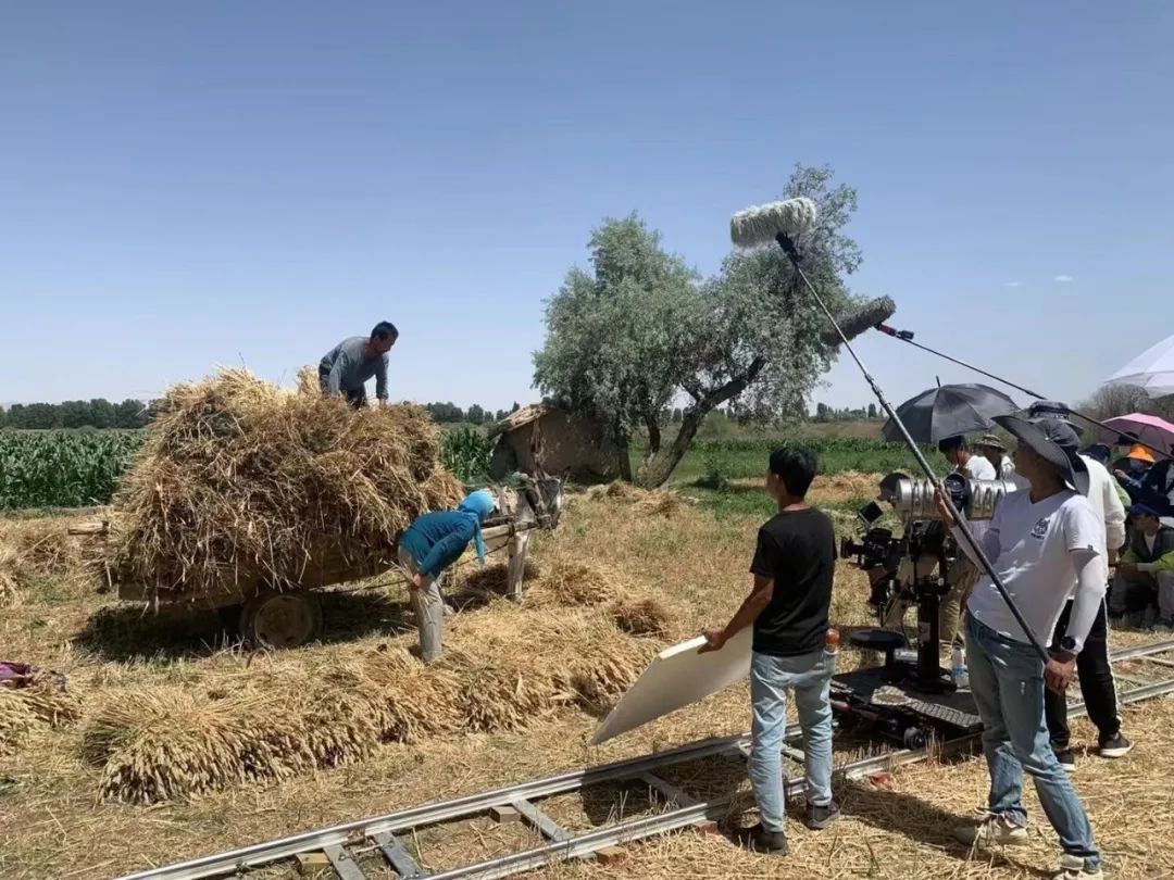 58天，我们见证了一部冷门片的逆袭