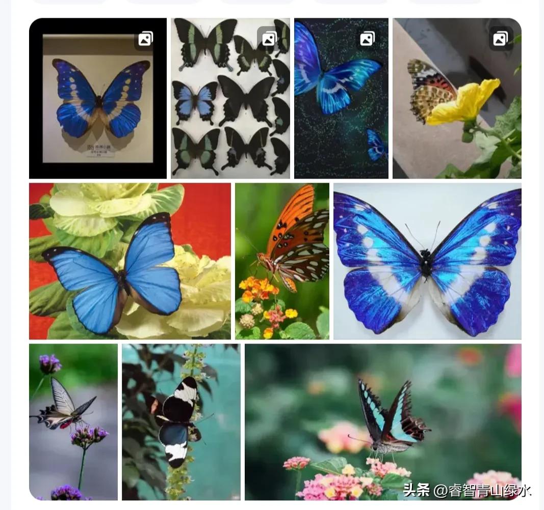 让我痴，让我醉，让我爱你没商量。