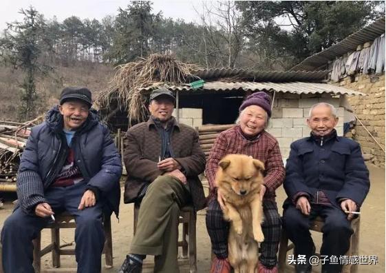 65岁长寿老人哭诉视频,65岁老人哭诉抱团养老一年