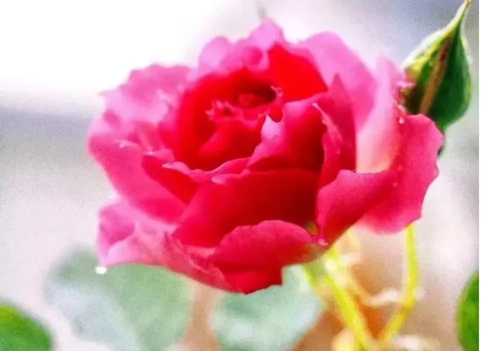 看了2022年平均工资，才知道最吃香的就业专业是哪些