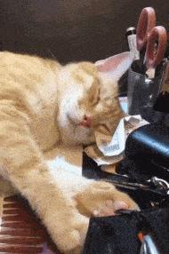 千万不要让男朋友挑泳衣,千万不要让男朋友买泳衣