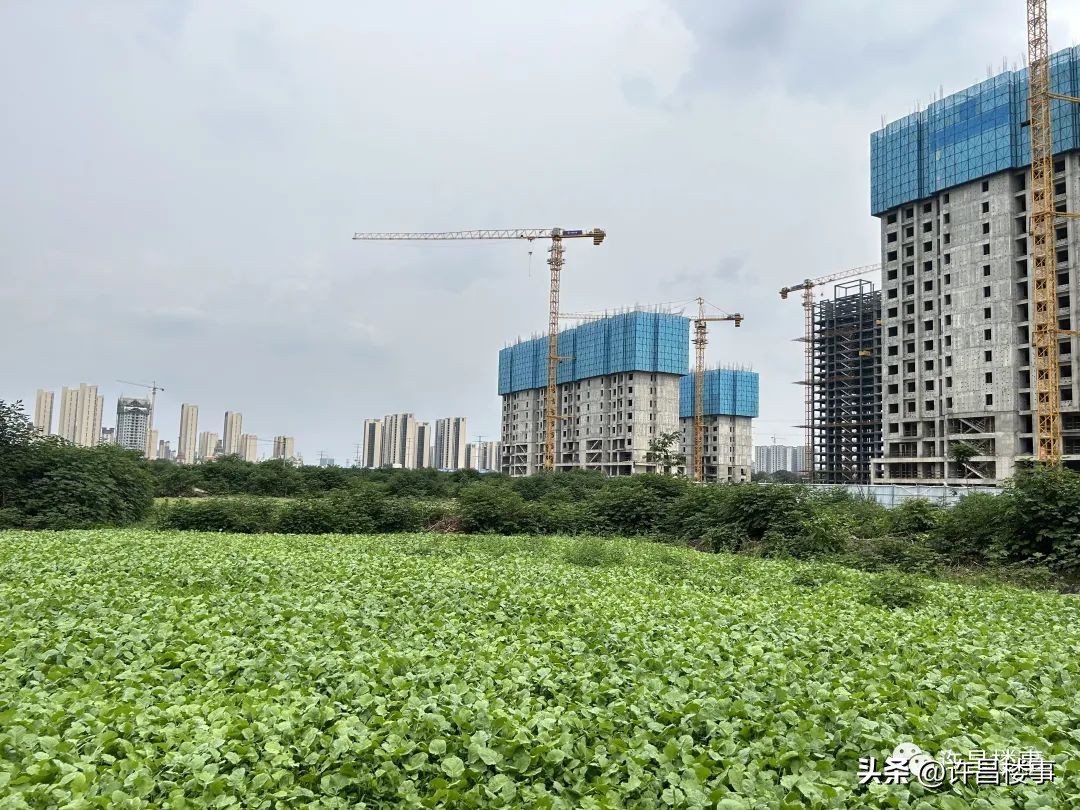 芙蓉湖FX15-1号宗地房地产项目或已敲定，广杰地产或将参与开发！