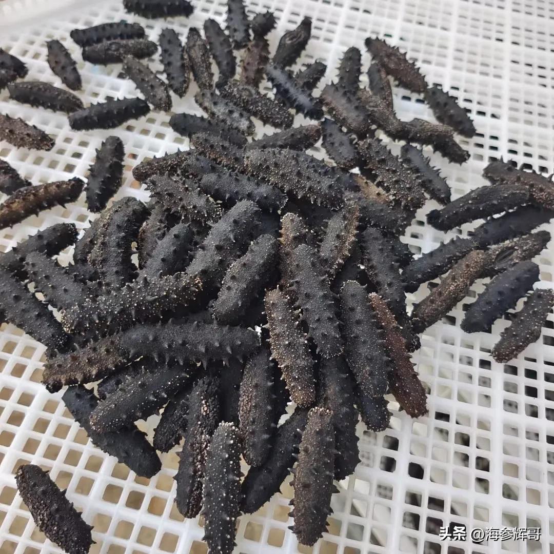 海参一般自己吃多少头的合适,海参自己吃买一斤多少头的好