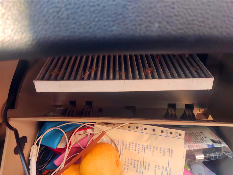 更换空调滤芯团购,更换空调滤芯大概多少钱