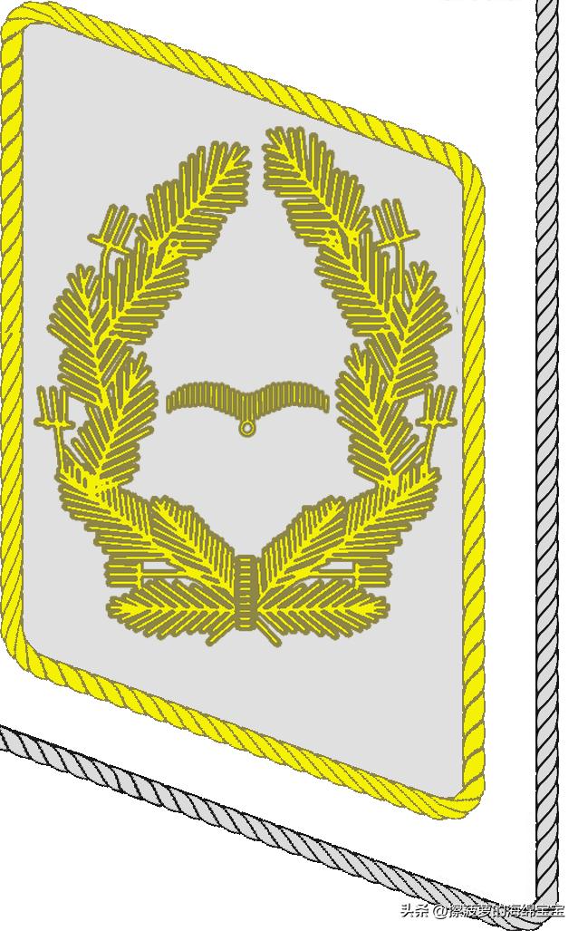 二战德国国防军医疗兵军衔标志