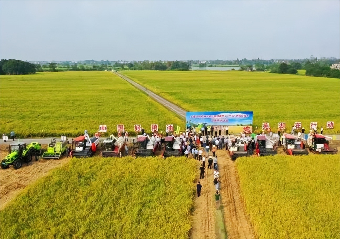 2023年是第几届中国农民丰收节,中国农民丰收节活动开幕