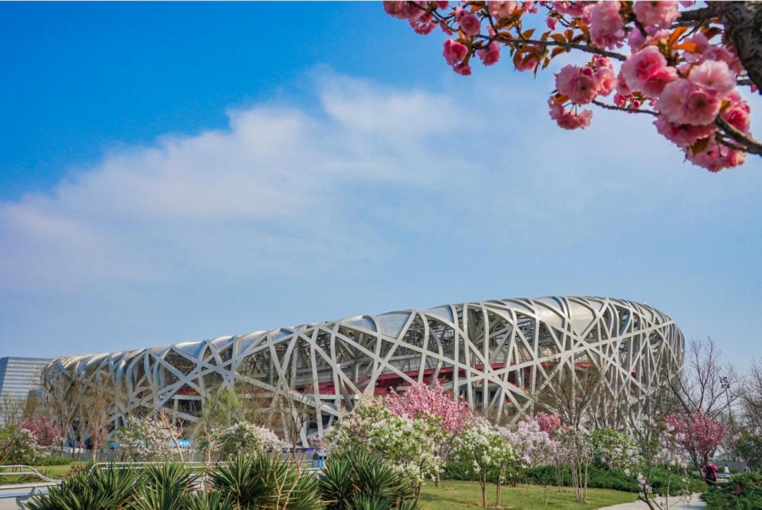 鸟巢在国家体育公园吗,国家体育场鸟巢开放时间