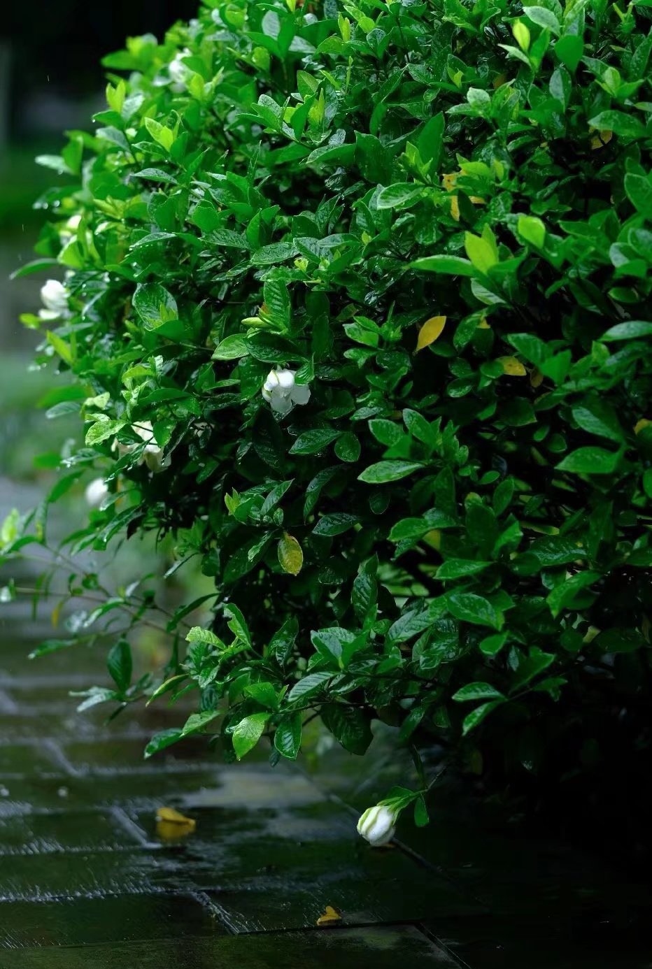 写给幸福的经典散文,幸福其实很简单随笔散文