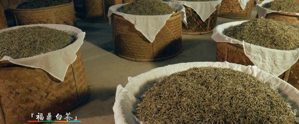 白毫银针故事感悟,白毫银针的故事