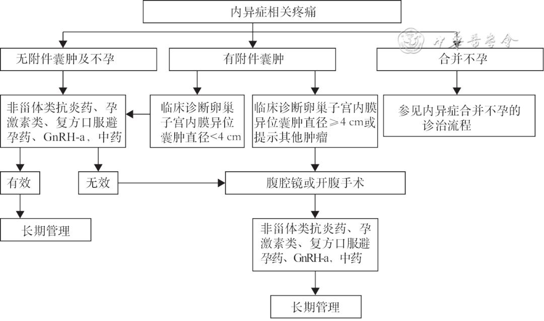 子宫内膜异位症诊治指南2018,子宫内膜异位症诊治指南第三版
