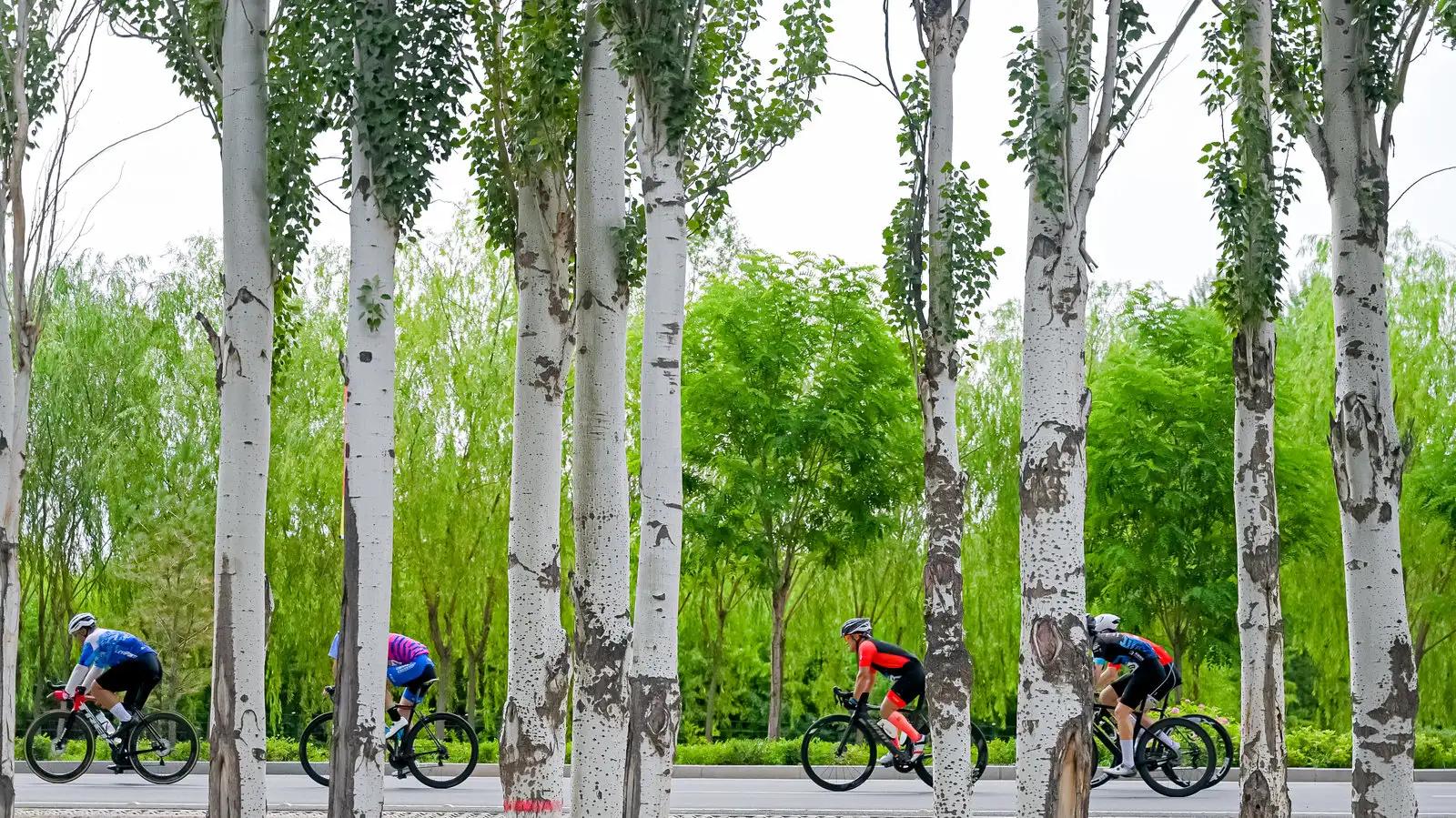 银川沿黄城市自行车挑战赛,第二届银川沿黄城市自行车挑战赛