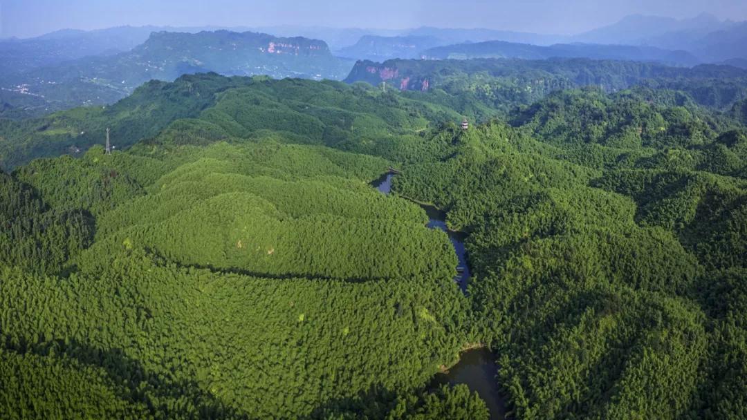 2022春节成都周边油菜花,2022年成都油菜花观赏地