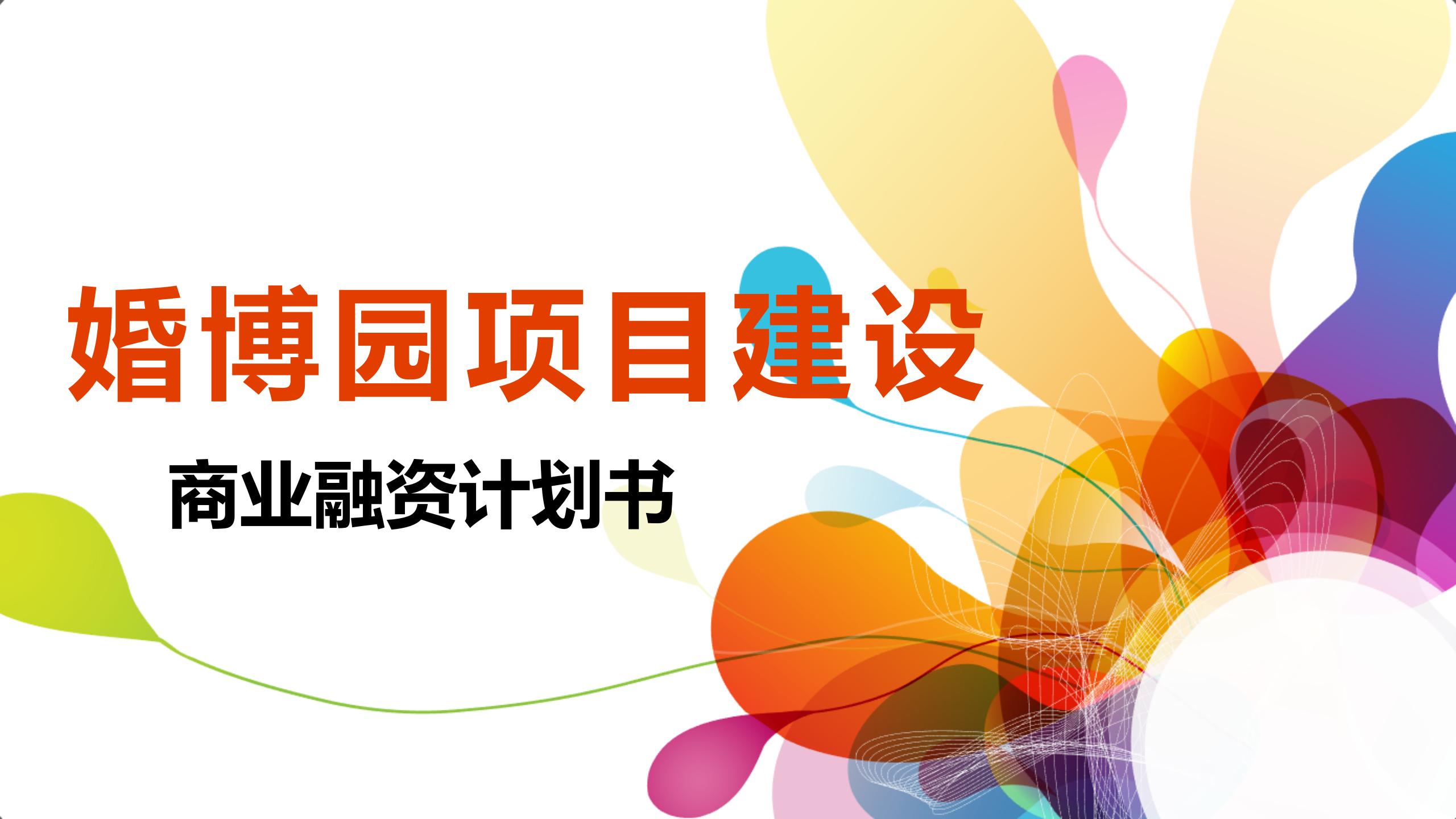 大丰商业计划书案例,商业项目开发计划书