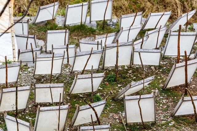 清代印刷技术,清朝冷知识乾隆