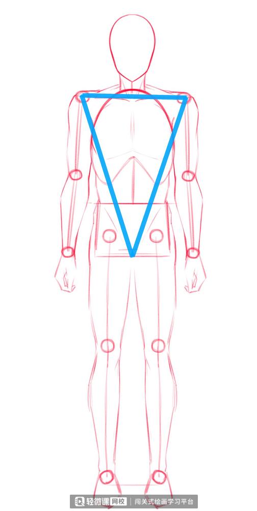 如何画人体结构动漫人物,漫画人体结构怎么画好看