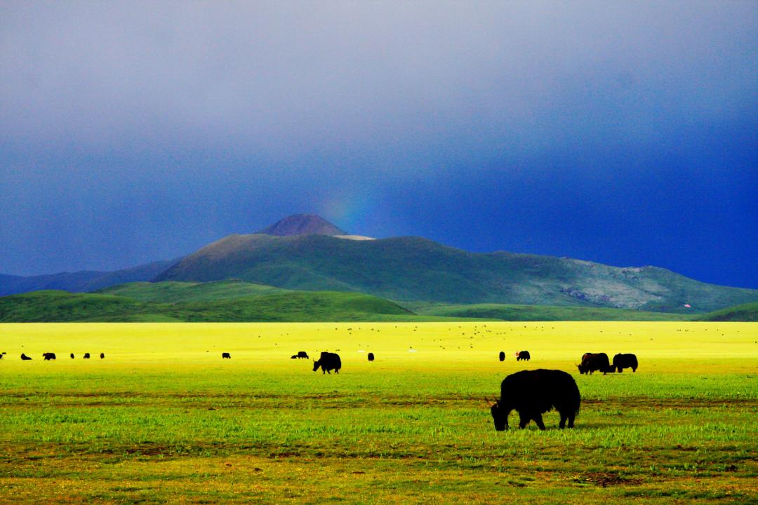 一图在手得心应手,一图在手走遍天下不用愁