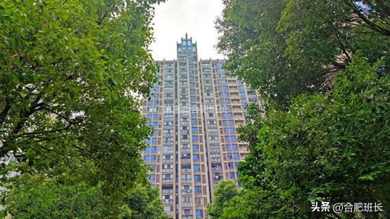 滨湖假日金榈园带院子,合肥滨湖蓝鼎假日金榈园房价