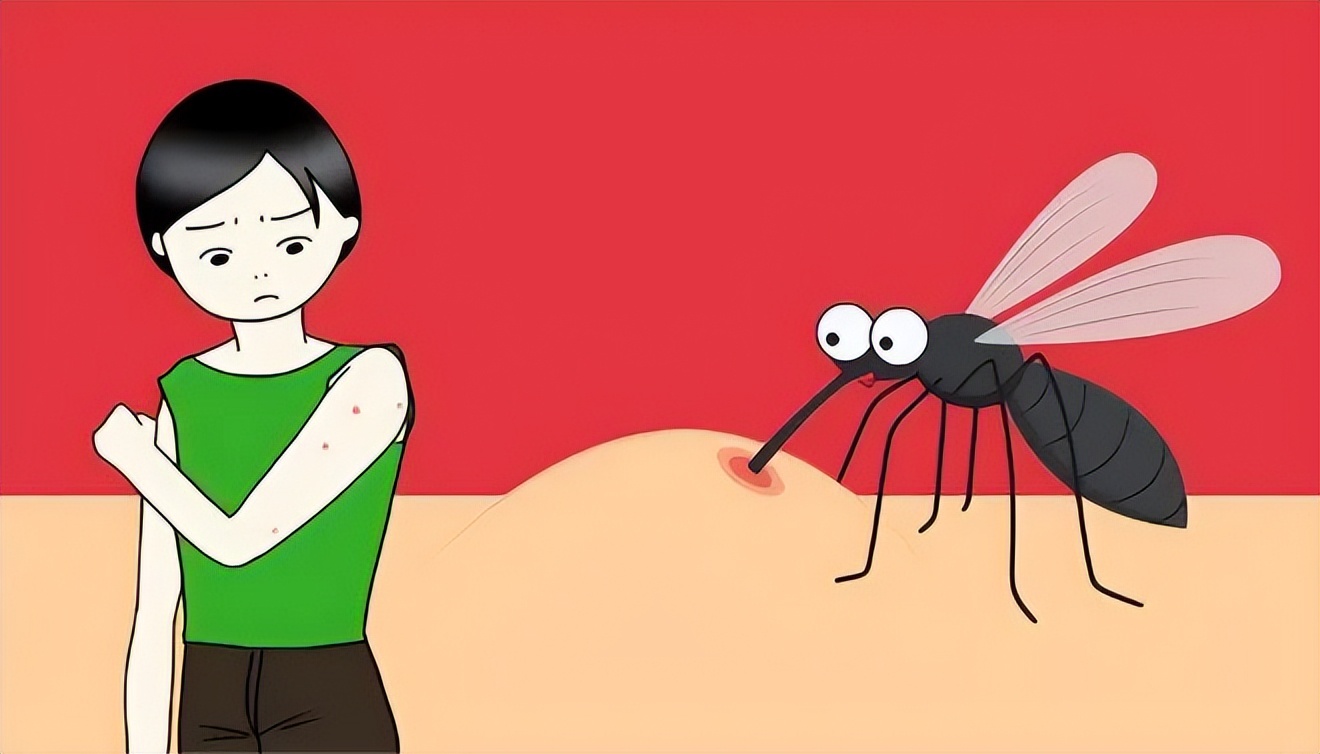 警惕！登革热正在多国扩散