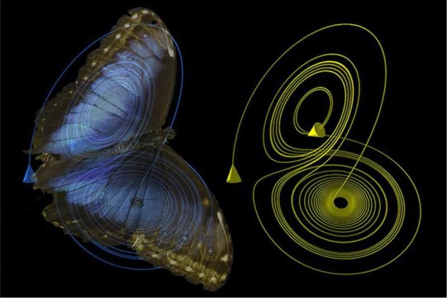 你知道蝴蝶效应吗搞笑视频,蝴蝶效应如何引起的龙卷风