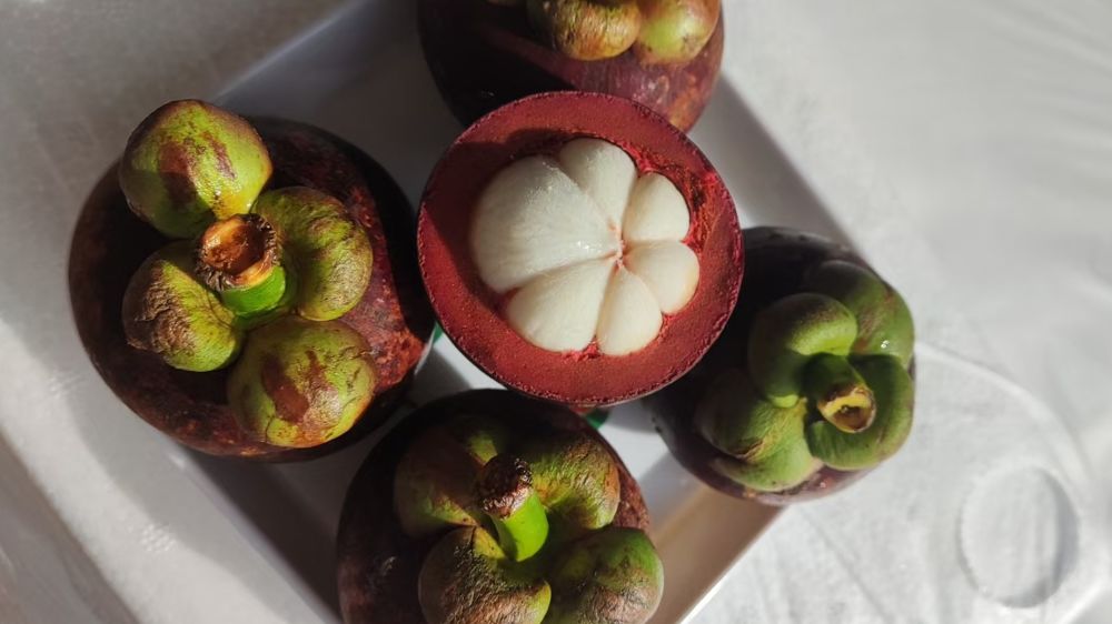 水果店基础水果,水果店需要做些什么