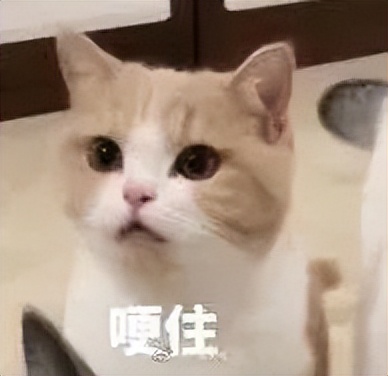 楂樻俯闆烽洦鍙嶅妯烦,闆烽洦澶╀竴鐩村湪骞夸笢涓婄┖鐩樻棆