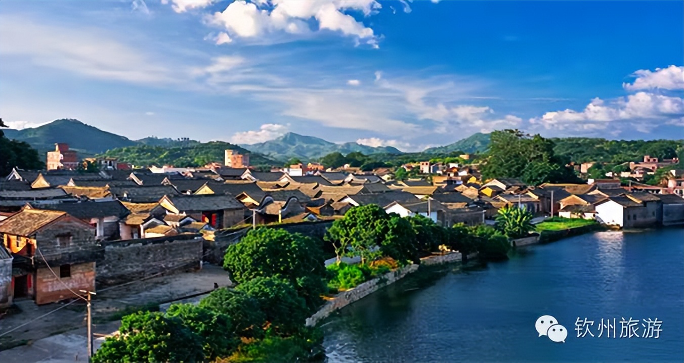 2020年灵山荔枝采摘地点,广西灵山荔枝现摘现吃