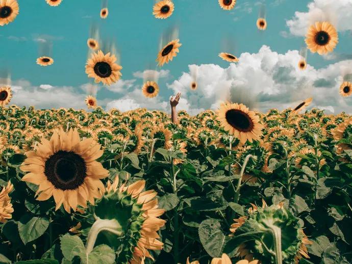 朋友圈背景图女生,朋友圈背景图动态视频