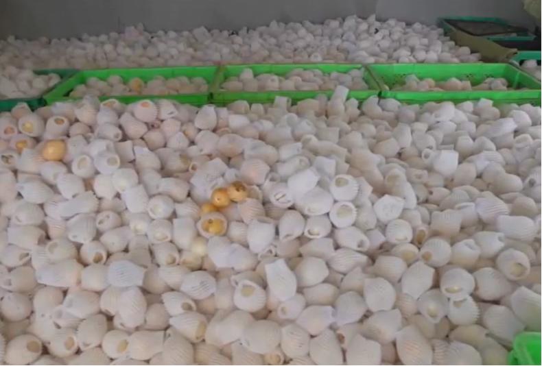 创业失败负债四十万妻子不离不弃,女人创业失败负债37万