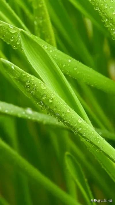 超清超美独一无二手机壁纸图片,养眼养心的壁纸