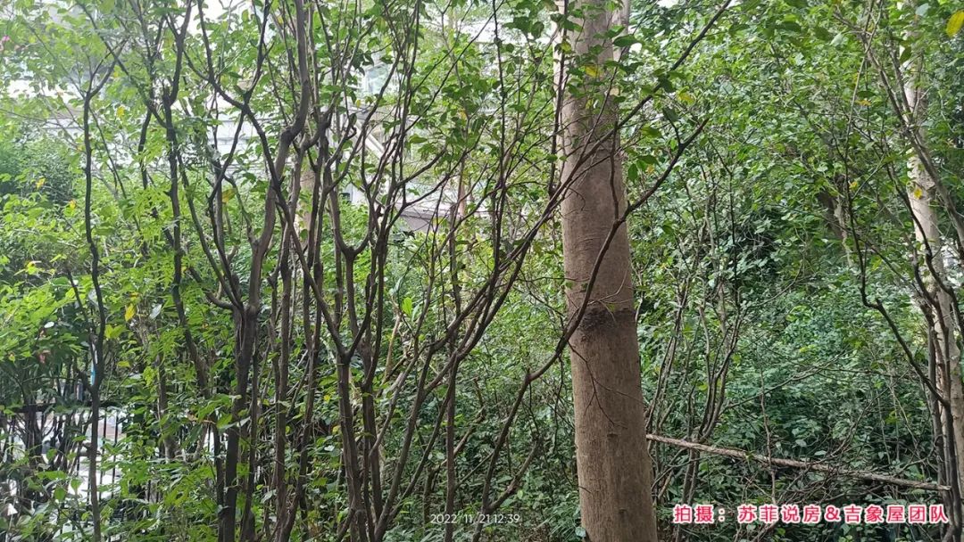 楼盘详评123-天河北-亿泉尚园