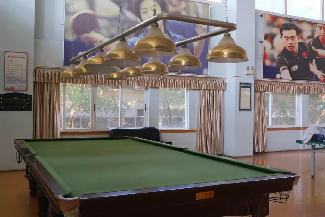 心动警报采访,心动预警作品