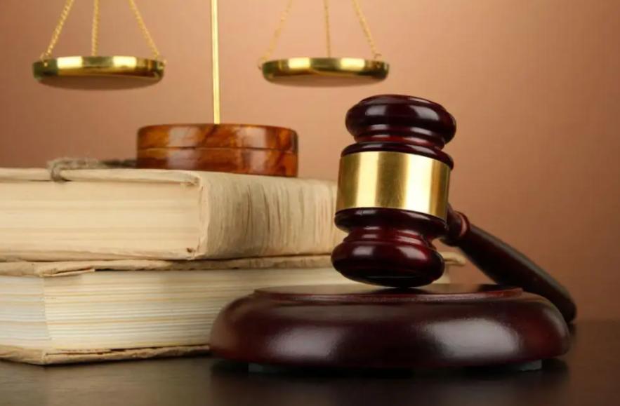 斑鸠在巢穴边不走说明什么,野斑鸠可以喂昆虫吗