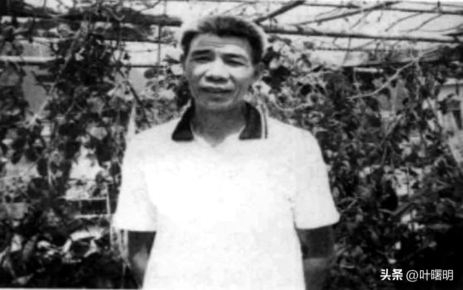 一场承包鱼塘的争论（叶曙明）