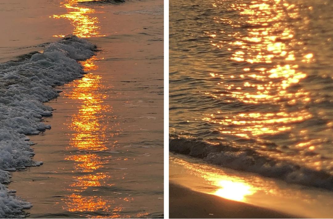 盘点那些过气网红的现状,2020年已经过气的网红