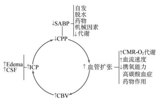 脑水肿压迫神经恢复要多久,脑水肿的诊断与治疗
