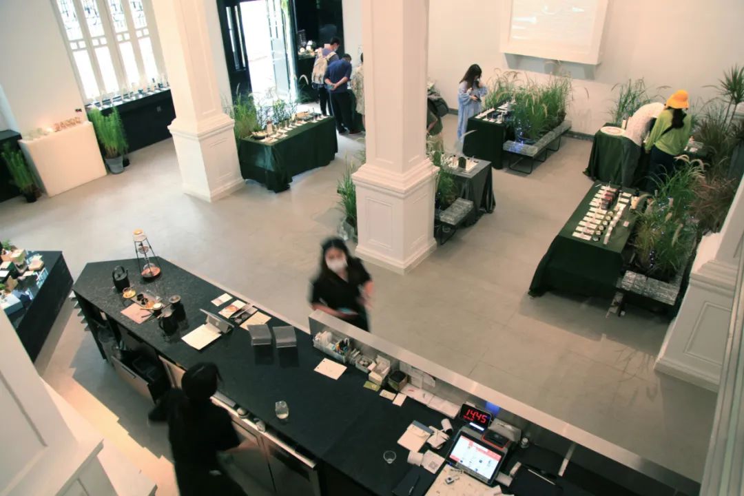 粤212期：文化沙漠？沙面这160年历史建筑，重新定义广州美