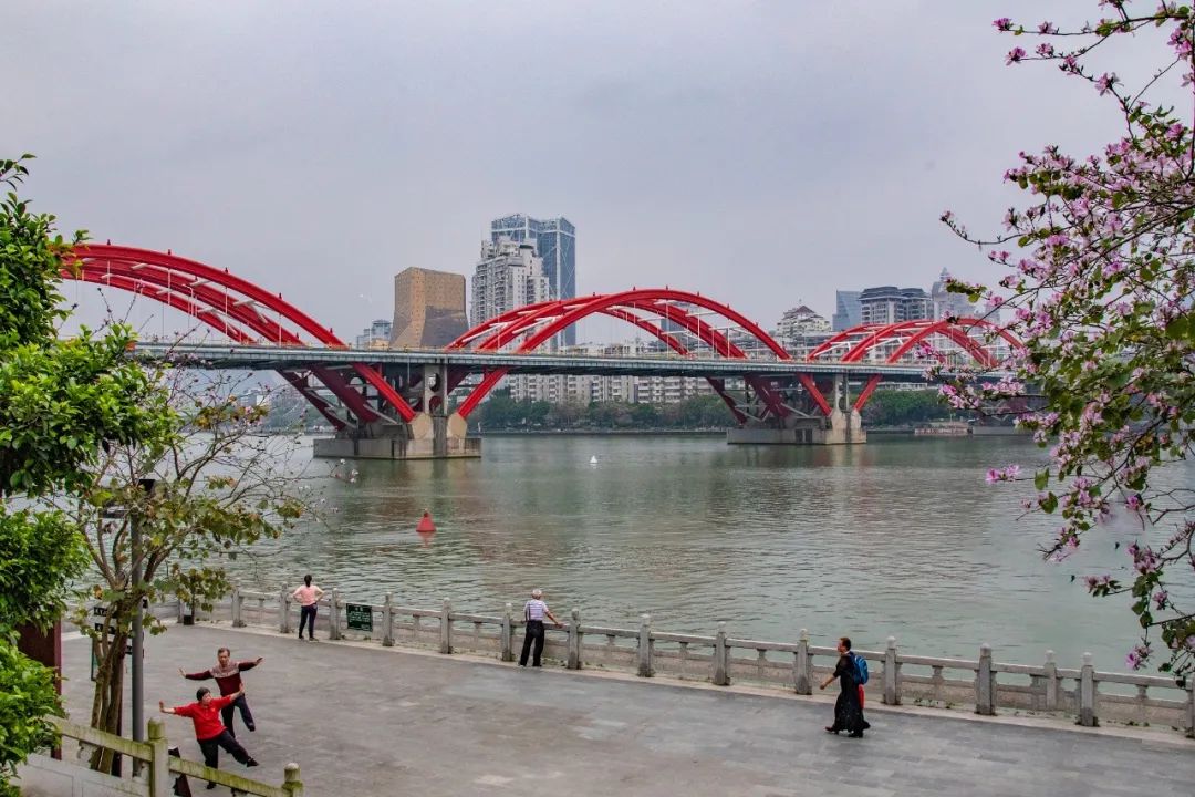 柳州体育中心拓展训练基地,柳州体育中心改造