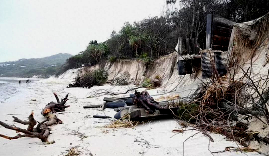 澳女子下海游泳，*处私**竟然被感染