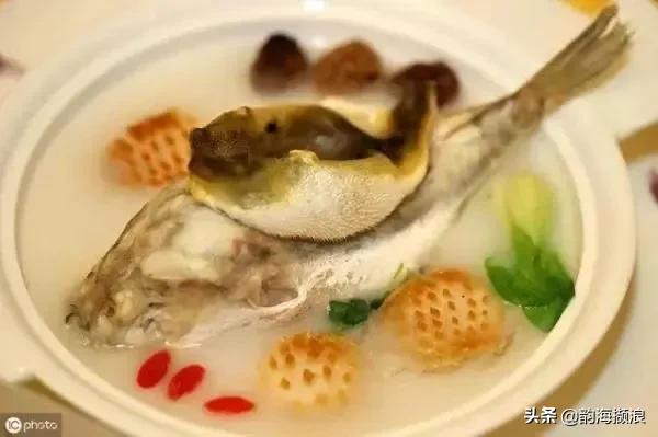 吃河豚闹肚子,会生气的河豚的笑话