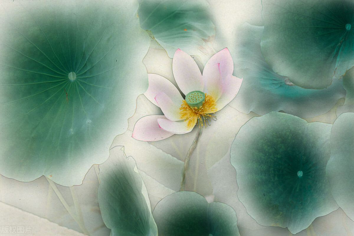 四欲太强易生灾殃,四欲太强或生灾殃