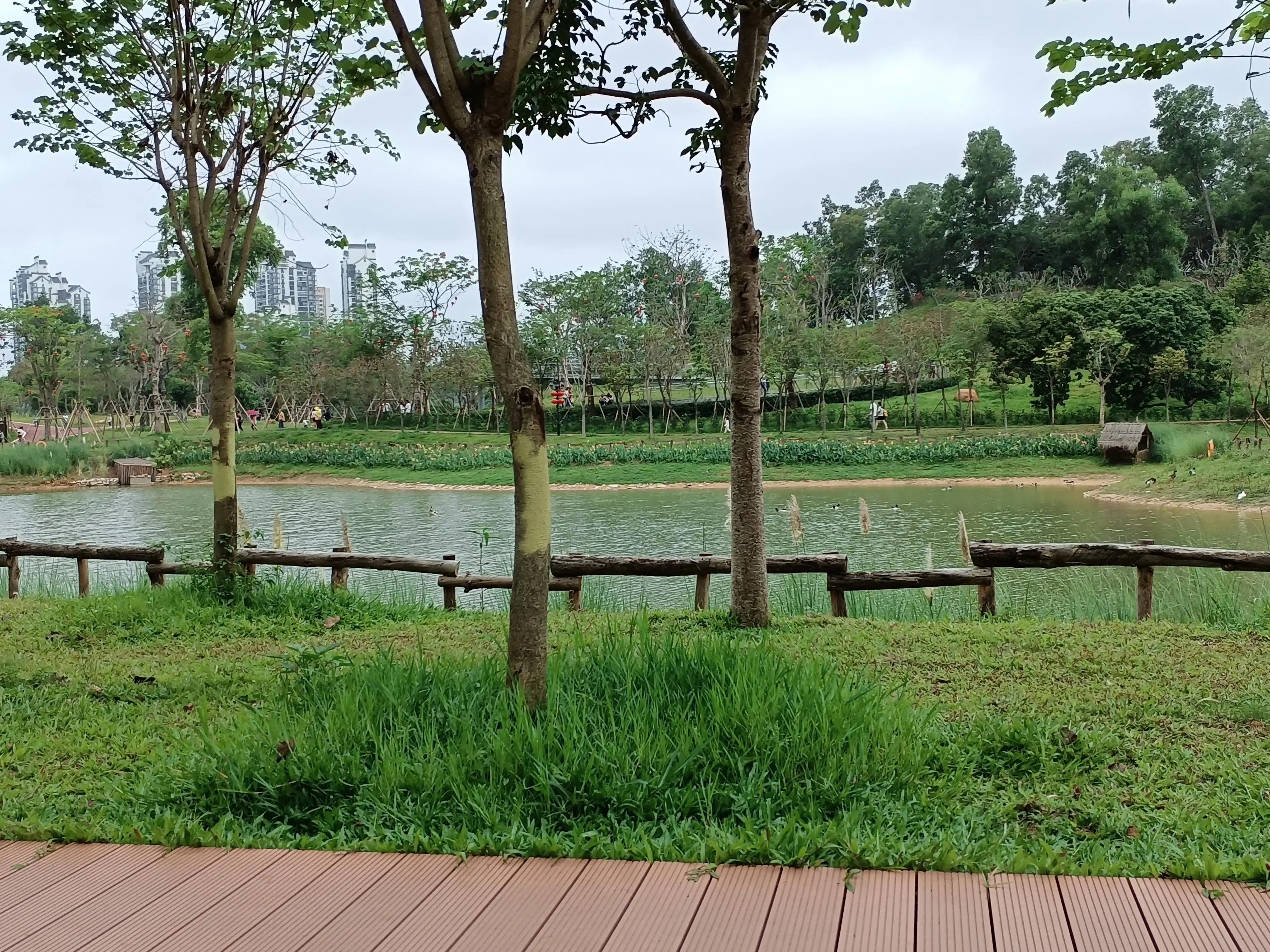 白云湖公园一日游推荐,香山公园附近一日游